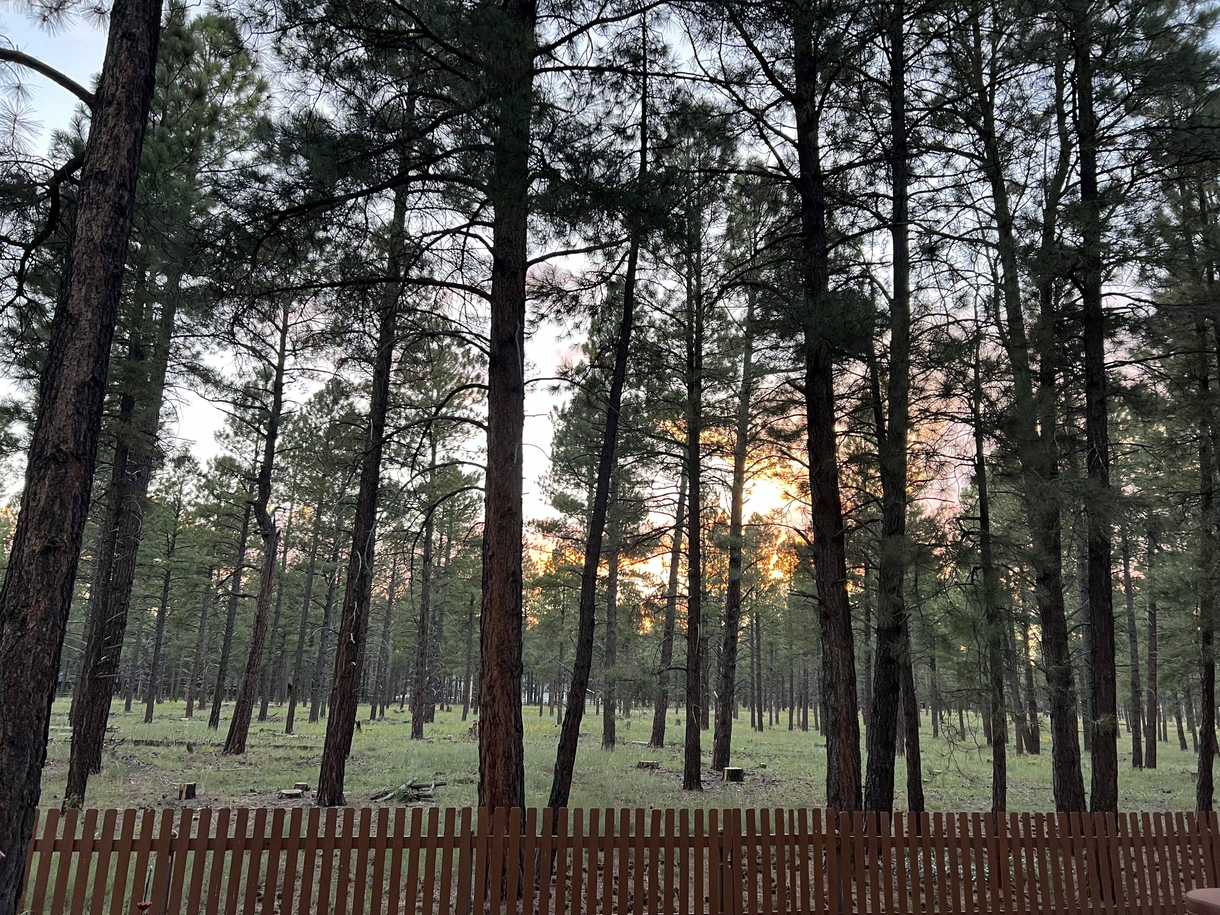 Welcome to Neighbors of Starlight Flagstaff Homeowners Association!